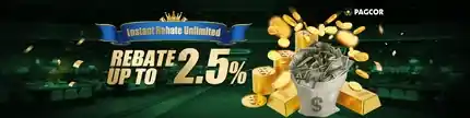 PH222 Free 100 GCash Casino Bonus Turnover Guide Philippines