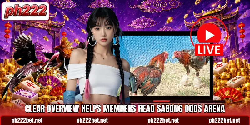 Clear overview helps members read Sabong Odds Arena